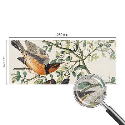 Moderna fototapeta Barvite ptice