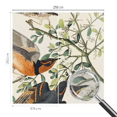 Moderna fototapeta Barvite ptice