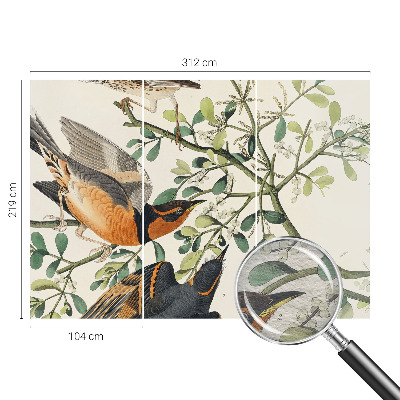 Moderna fototapeta Barvite ptice