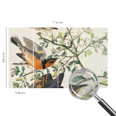 Moderna fototapeta Barvite ptice