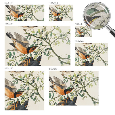 Moderna fototapeta Barvite ptice