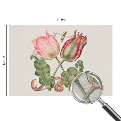 Fototapeta z motivom tulipanov
