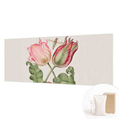 Fototapeta z motivom tulipanov
