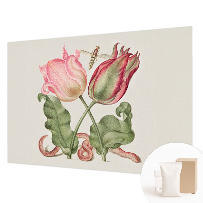 Fototapeta z motivom tulipanov