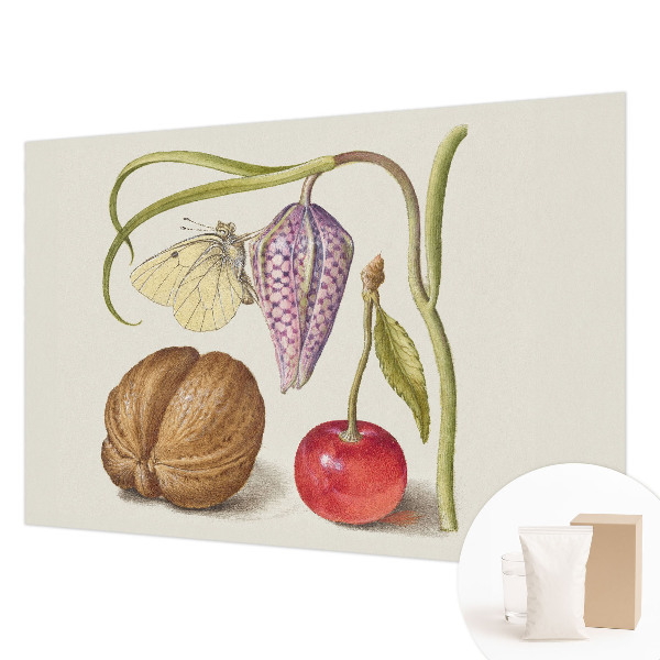 Netkana fototapeta Rastlina metuljev