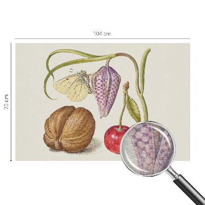 Netkana fototapeta Rastlina metuljev