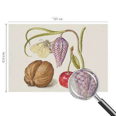 Netkana fototapeta Rastlina metuljev