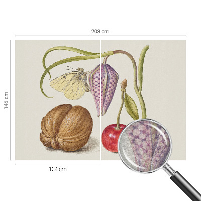 Netkana fototapeta Rastlina metuljev