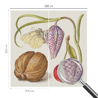 Netkana fototapeta Rastlina metuljev