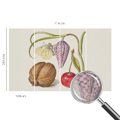 Netkana fototapeta Rastlina metuljev