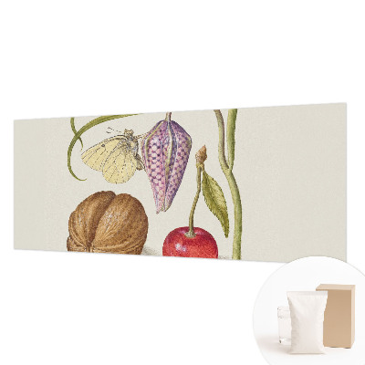 Netkana fototapeta Rastlina metuljev