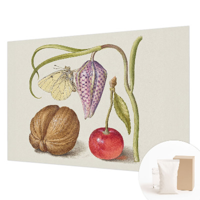 Netkana fototapeta Rastlina metuljev