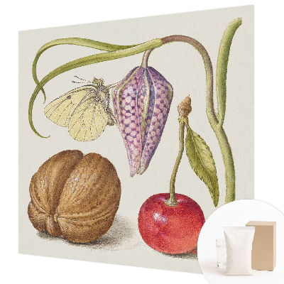 Netkana fototapeta Rastlina metuljev