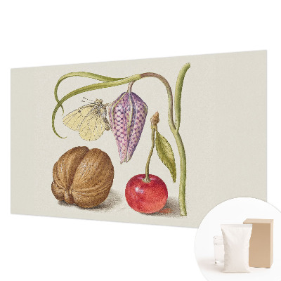 Netkana fototapeta Rastlina metuljev