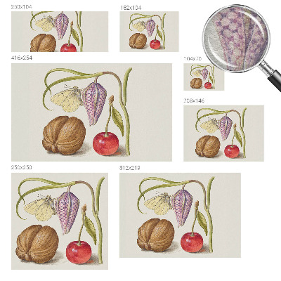 Netkana fototapeta Rastlina metuljev