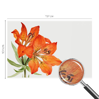 Stenska fototapeta flis z motivom oranžne lilije