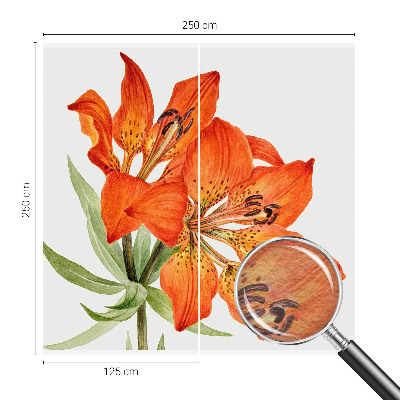 Stenska fototapeta flis Oranžna lilija
