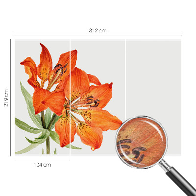 Stenska fototapeta flis z motivom oranžne lilije