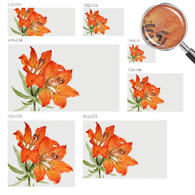 Stenska fototapeta flis z motivom oranžne lilije