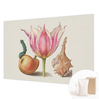 Tiskana fototapeta flis Naravna simbioza