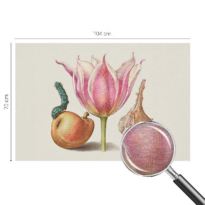 Tiskana fototapeta flis z motivom Naravna simbioza