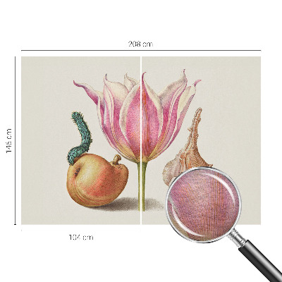 Tiskana fototapeta flis Naravna simbioza