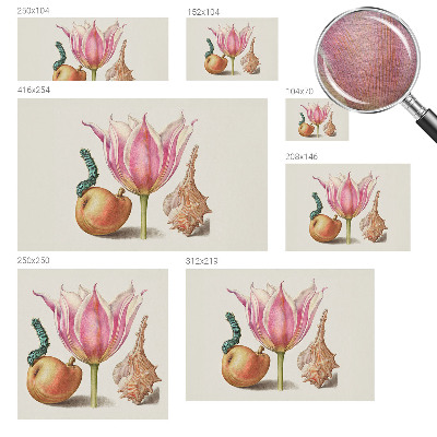 Tiskana fototapeta flis Naravna simbioza