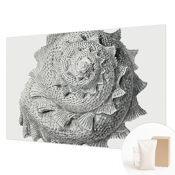 Visokokakovostna fototapeta Umetnost narave