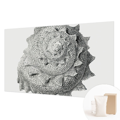 Visokokakovostna fototapeta Umetnost narave