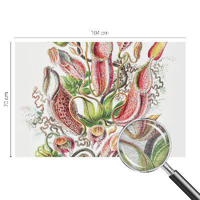 Dekorativna fototapeta Podrobnosti o rastlini