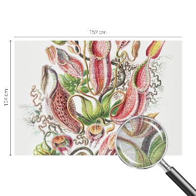 Dekorativna fototapeta Podrobnosti o rastlini