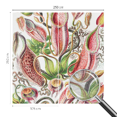 Dekorativna fototapeta Podrobnosti o rastlini