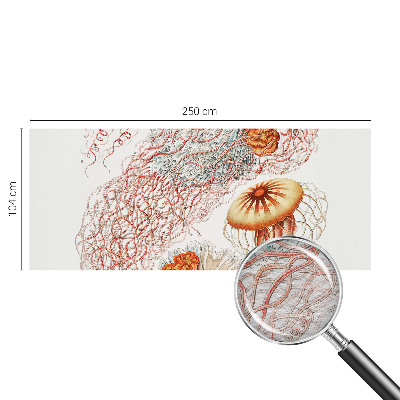Fototapeta s tiskom z motivom domiselnih meduz
