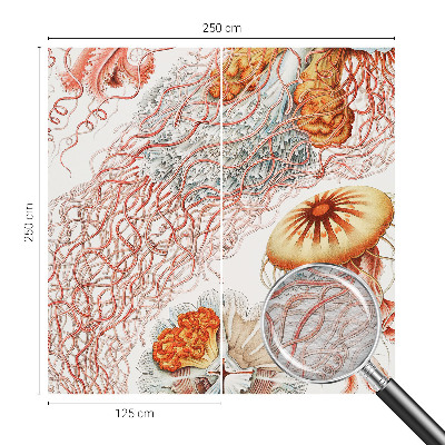 Fototapeta s tiskom Domiselne meduze