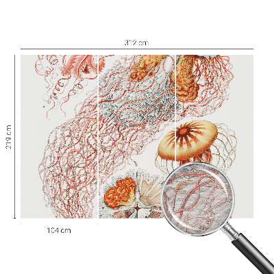 Fototapeta s tiskom Domiselne meduze