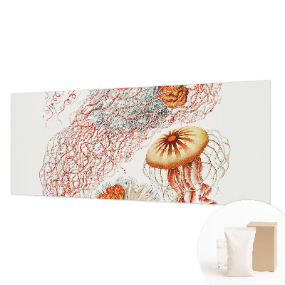 Fototapeta s tiskom z motivom domiselnih meduz