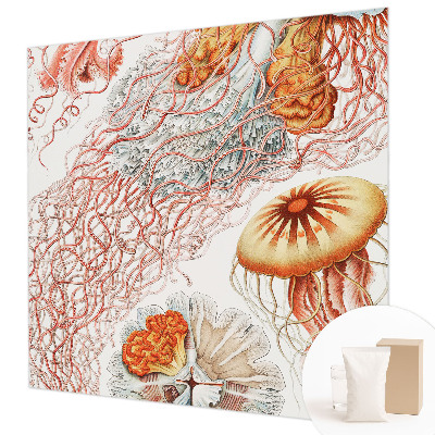 Fototapeta s tiskom Domiselne meduze