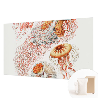 Fototapeta s tiskom Domiselne meduze