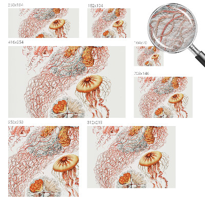 Fototapeta s tiskom Domiselne meduze