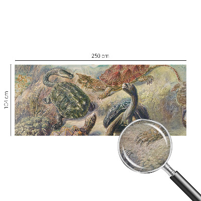 Foto tapeta Favna želv