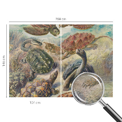 Foto tapeta Favna želv