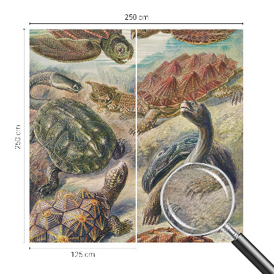 Foto tapeta Favna želv