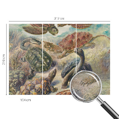 Foto tapeta Favna želv