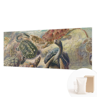 Foto tapeta Favna želv