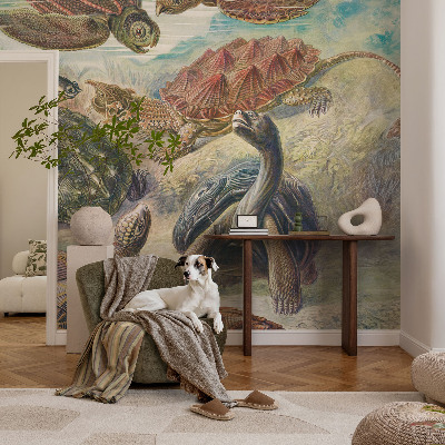 Foto tapeta Favna želv