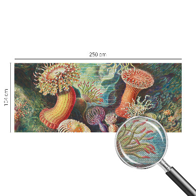 Flis fototapeta Domiselne anemone