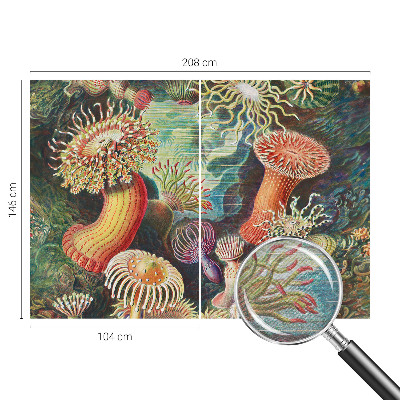 Flis fototapeta Domiselne anemone