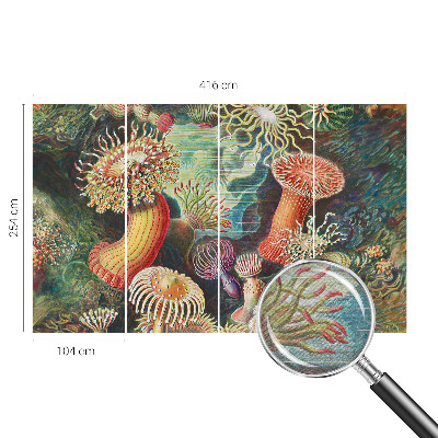 Flis fototapeta Domiselne anemone