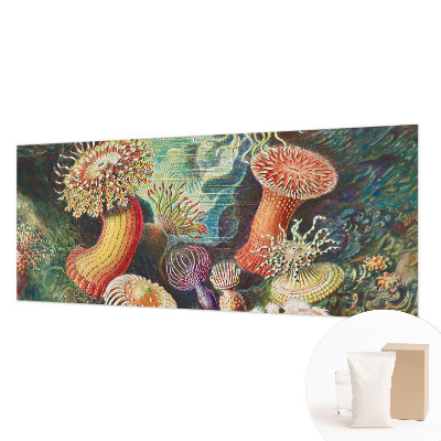 Flis fototapeta Domiselne anemone