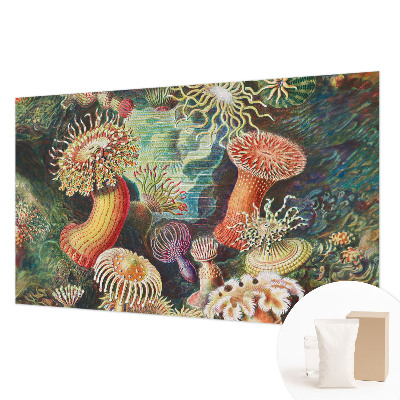 Flis fototapeta z motivom domiselnih anemon
